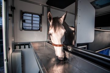 paardenwagen leasen