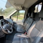 Ford Pferde LKW