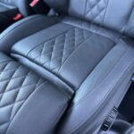 Designo lederinterieur paardenvrachtwagen