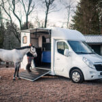 importeren paardenvrachtwagen België